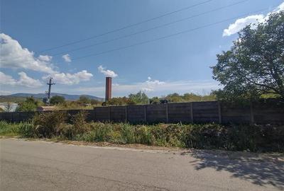 Oravita, Teren Intravilan Drept, In Oras, 16000 Mp., 17 Euro Mp. - 7