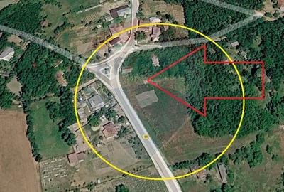 Teren intravilan cu constructie veche in Calapodesti Valu Morii Bacau - 2
