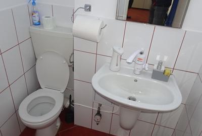 Vand spatiu comercial in Deva, zona ultracentrala, (Bld Decebal), etaj 1, - 10