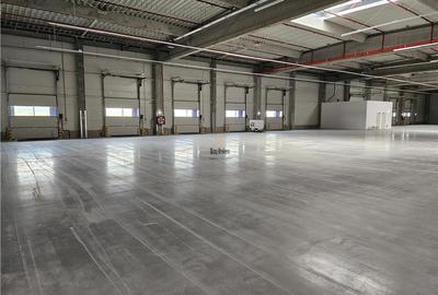 Spatiu Industrial - 4300 mp - Logistica - Productie - Depozitare - Distributie - 9