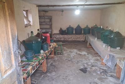 Casă tradițională cu teren generos – Borosteni, Peștișani, jud. Gorj - 11