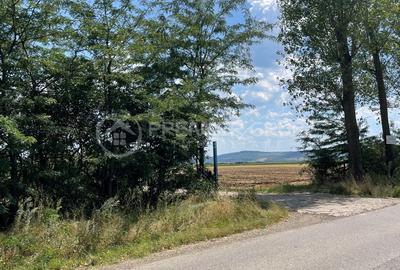 Teren 7.000mp, Miroslava - Liliac - 5