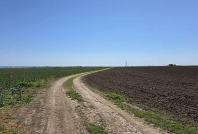 Teren extravilan in Corbu, 2000 MP, zona Plaja Corbu - 5