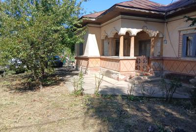 Casa cu teren mare in Bolintin Deal - 3