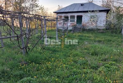 Casă bătrânească cu teren 1150 mp, vie și livadă – Șerbănești, Păușești, Vâlcea - 2