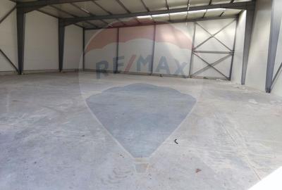 Spatiu industrial 600 mp inchiriere in Hală, Depozit Afumati Doraly - 4