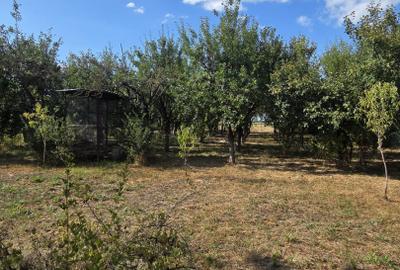 Casă și teren de vânzare – Zona Careiului - 18
