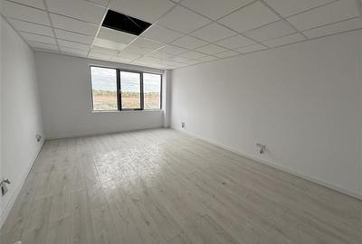 Inchiriere depozit/hala/spatiu industrial Chiajna - Chitila - Rudeni - 6