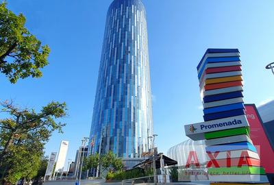Sky Tower - Subinchiriere spatiu birou, suprafata 287 mp - 11
