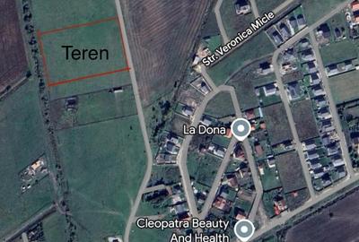 Teren de vanzare  10800 mp - 3