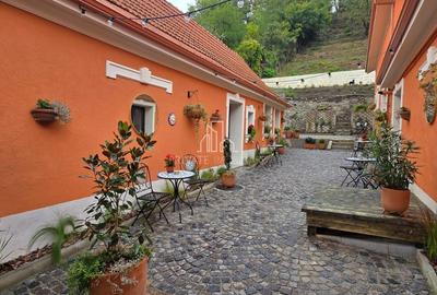 Pensiune de vanzare in Sighisoara - 9