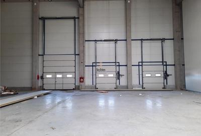 Spatiu Industrial - 5500 mp - Logistica - Productie - Depozitare - 17
