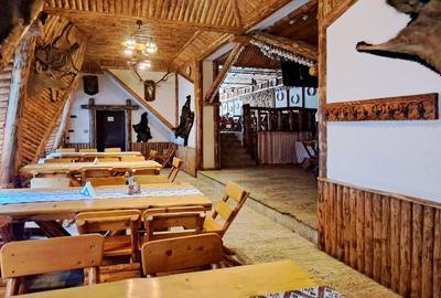 Pensiune deosebita, locuri de cazare, restaurant, pizzerie si spatii comerciale - 7
