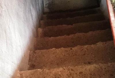 Casă central în Vadu Pașii, deschidere la 2 străzi, garaj, anexe, grădină - 7