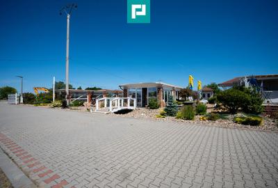 Business la cheie și 25.000 mp teren Arad-Oradea - 17
