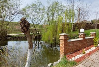 Imobilstar vinde casa in Corunca -Valea Iubirii - 7