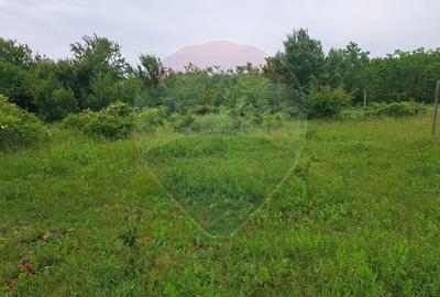 Teren Silistea Snagovului 500 mp apropiere padure - 1