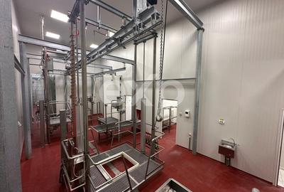 Black Angus Farm with authorized Slaughterhouse - 12