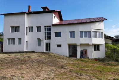Teisori domeniul verde cu baltă de pește ,Neajlov,,Padure - 10