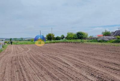 Teren- Com. Stefan cel Mare- jud. Neamt - 11