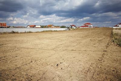 Teren Construcții intravilan de 14000 mp, în Ampoi 2