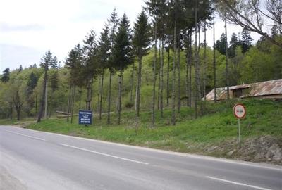 Proprietar, vand teren Busteni Poiana Tapului Prahova 3.450 mp - 5