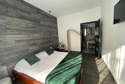 Casa Lux Mediteraniana cu 1620 mp. teren mobilata utilata CETATE cazare pensiune - 4