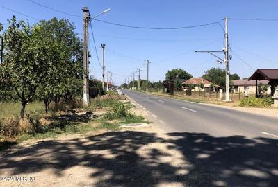 Moara Vlasiei - langa Padurea Biglaru, 11.884 mp, deschidere 40 ml - 6