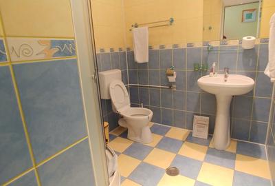 Vila/Pensiune,casa administrator,teren plat 2000Mp - 10