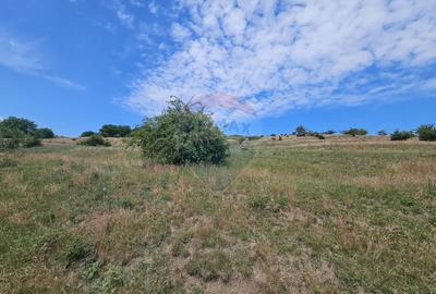 Teren extravilan de vanzare in Campenesti - 3