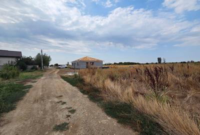 VANZAREL LOTURI 430 MP. - 1 DECEMBRIE - STR. NARCISELOR - 2