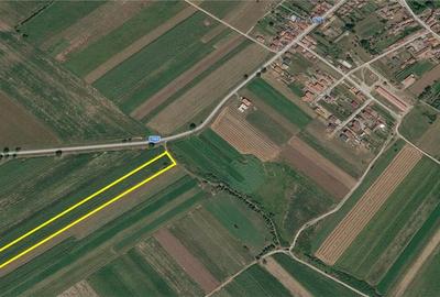 Teren agricol extravilan de 4500 mp, în Roșia