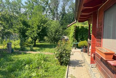 Casa din lemn masiv | 3 camere | Teren 5.000mp -Berceni Prahova - 12