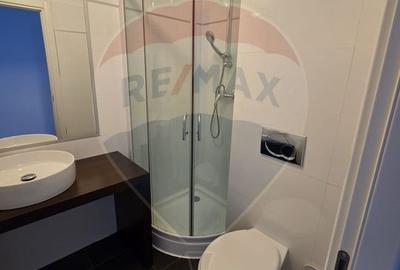 Apartament cu 5 camere de închiriat în zona Herastrau - 14