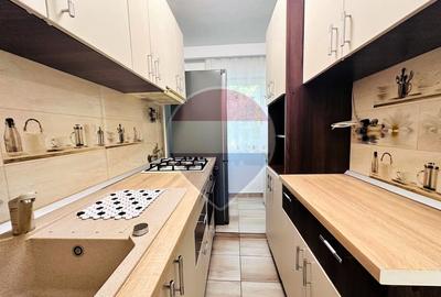 Apartament Renovat si Mobilat, Etaj 2/4, Str. Argeselu - De Inchiriat - 6