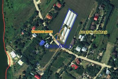 Teren intravilan vânzare - 2.750 mp – Dârvari/Tamadalu Mare (județul Călărași) - 9