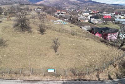 Teren intravilan, suprafata de 1223 m2, str Secu, Prundu B - 1