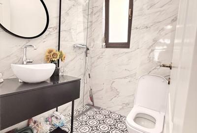 Apartament exclusivist tip Penthouse zona Domenii-Parcul Copilului - 22