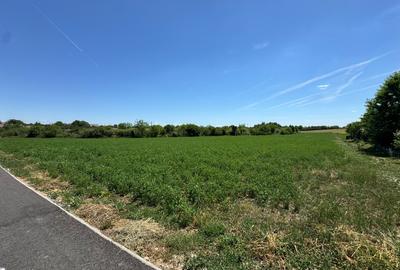 Teren agricol intravilan de 8000 mp, în Bodrogu Nou