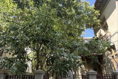 Spatiu Comercial Casa Calea Victoriei cu curte - 7