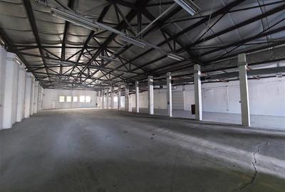 Hala industriala, cu acces din centura - 1