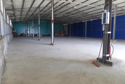 Hala Productie / Depozitare 600 mp + Teren 1000 mp – Magura (Farbe), Bacau – Acc - 6