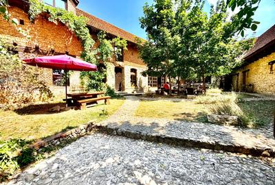 CASA THEA | INVESTIȚIE ÎN TURISM, GASTRONOMIE ȘI EXPERIENȚE | SOCOLARI - 4