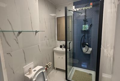 Inchiriere Apartament 2 camere Drumul Taberei-Bld.Timisoara - 9
