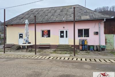 Casă individuală cu 3 camere în Trâmpoiele