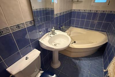 Apartament de închiriat, 4 camere, 94 mp, Plopilor zona Parcul Iuliu Hațieganu - 19