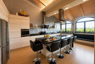 SNAGOV VILA | 36m DESCHIDERE LA LAC | PONTON 250mp | JACUZZI | SPA | BOWLING - 3