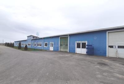 Spatiu industrial de vanzare in Biharia, hala 1200 mp si 23772 mp teren - 5