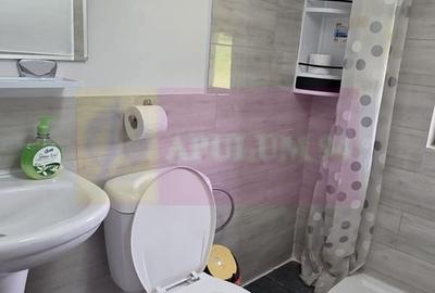 Vila din padure in Valea Doftanei - 22
