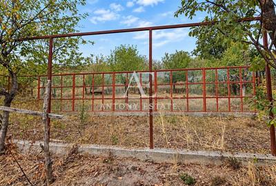 Antony Estate | Autentic Hill | Casa de Vanzare, Dealuri, Oradea - 17